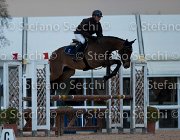 Quality Tosc Tour2013- S5 1865 : Arezzo, Cavalli d'Italia, Quality Up, Toscana Tour 2013, foto di Stefano Secchi ©